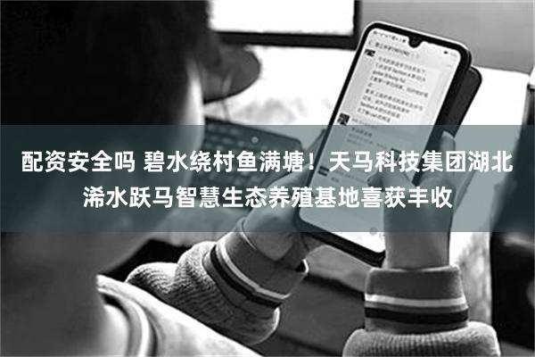 配资安全吗 碧水绕村鱼满塘！天马科技集团湖北浠水跃马智慧生态养殖基地喜获丰收