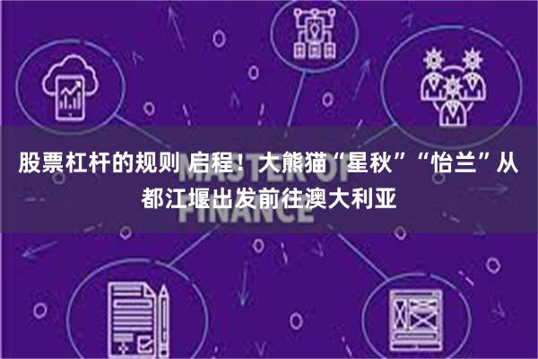 股票杠杆的规则 启程！大熊猫“星秋”“怡兰”从都江堰出发前往澳大利亚
