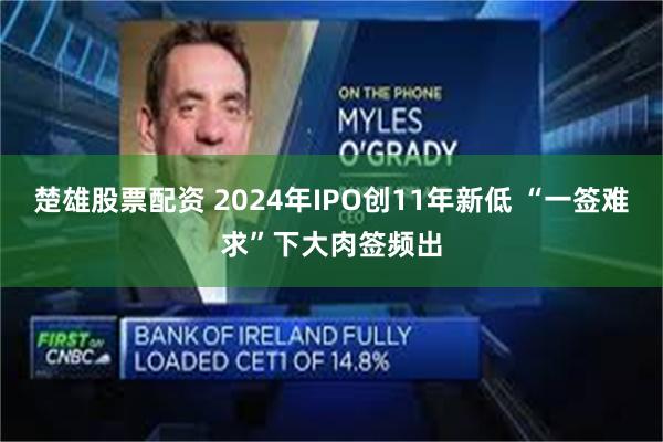 楚雄股票配资 2024年IPO创11年新低 “一签难求”下大肉签频出