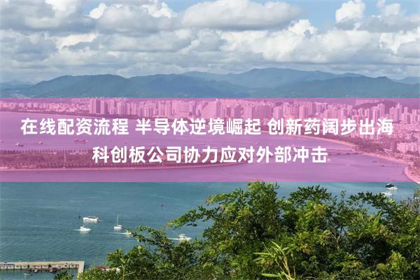 在线配资流程 半导体逆境崛起 创新药阔步出海 科创板公司协力应对外部冲击