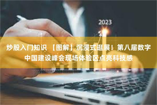 炒股入门知识 【图解】沉浸式逛展！第八届数字中国建设峰会现场体验区点亮科技感