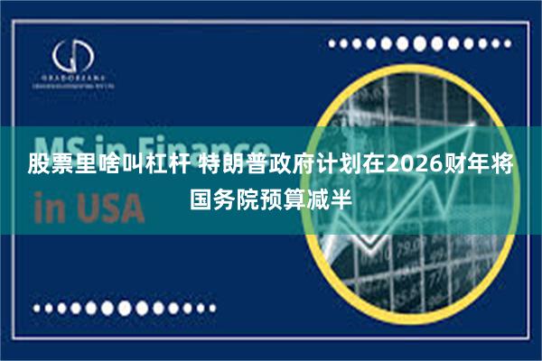 股票里啥叫杠杆 特朗普政府计划在2026财年将国务院预算减半