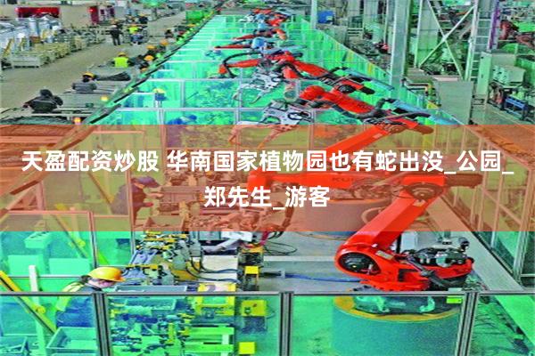 天盈配资炒股 华南国家植物园也有蛇出没_公园_郑先生_游客