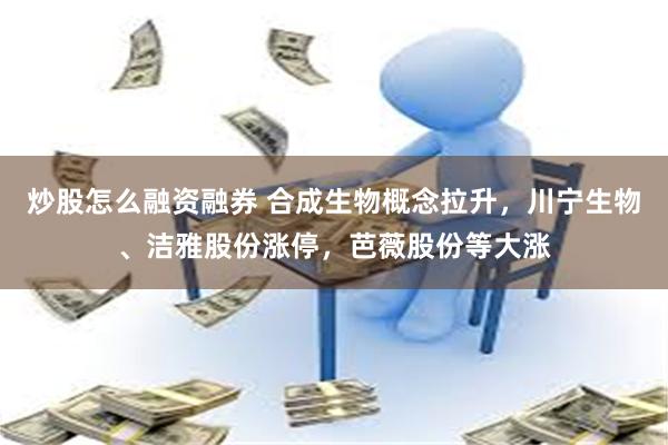 炒股怎么融资融券 合成生物概念拉升，川宁生物、洁雅股份涨停，芭薇股份等大涨