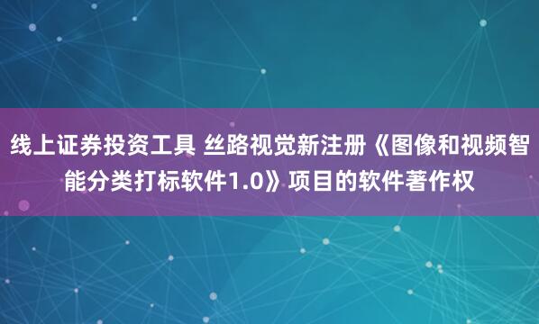线上证券投资工具 丝路视觉新注册《图像和视频智能分类打标软件1.0》项目的软件著作权