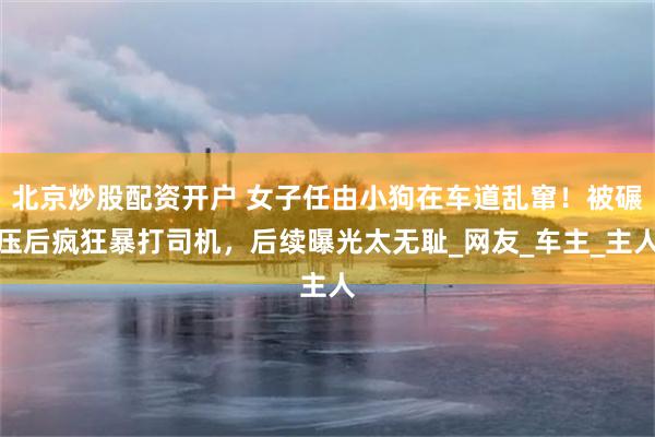 北京炒股配资开户 女子任由小狗在车道乱窜！被碾压后疯狂暴打司机，后续曝光太无耻_网友_车主_主人