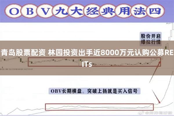 青岛股票配资 林园投资出手近8000万元认购公募REITs