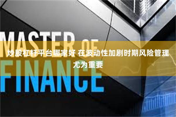 炒股杠杆平台哪家好 在波动性加剧时期风险管理尤为重要