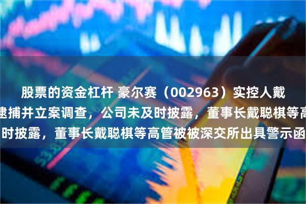 股票的资金杠杆 豪尔赛（002963）实控人戴宝林涉嫌行贿被公安机关逮捕并立案调查，公司未及时披露，董事长戴聪棋等高管被被深交所出具警示函
