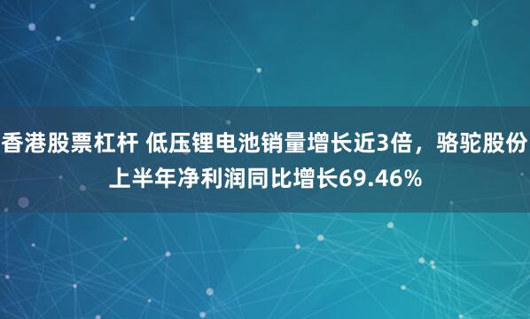 香港股票杠杆 低压锂电池销量增长近3倍，骆驼股份上半年净利润同比增长69.46%