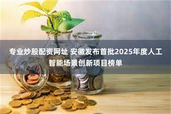 专业炒股配资网址 安徽发布首批2025年度人工智能场景创新项目榜单