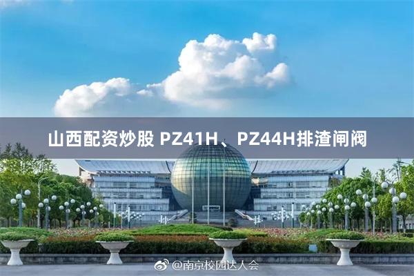 山西配资炒股 PZ41H、PZ44H排渣闸阀