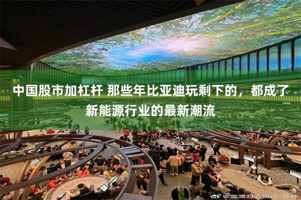 中国股市加杠杆 那些年比亚迪玩剩下的,都成了新能源行业的最新潮流
